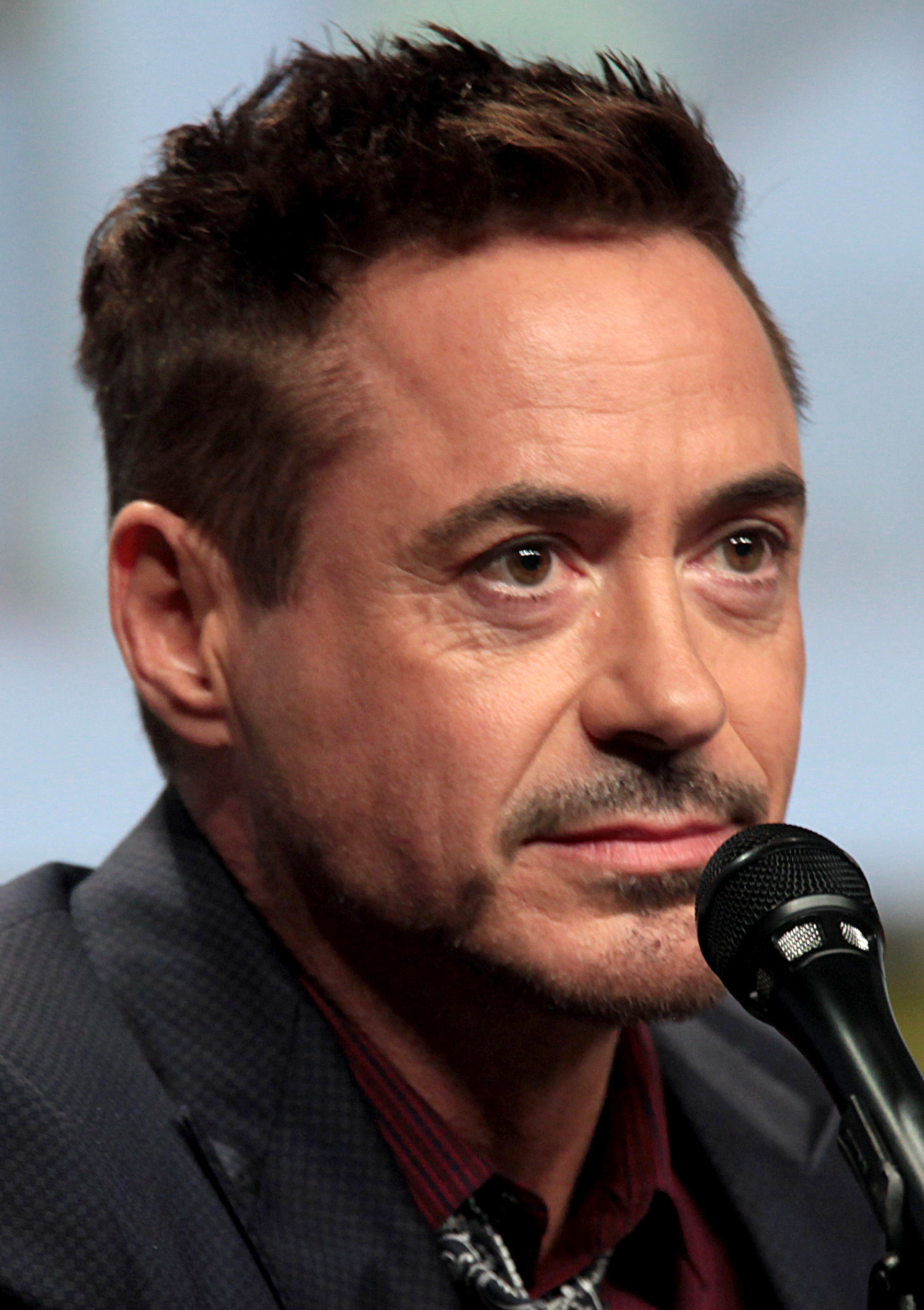 Robert Downey Jr. at San Diego Comic-Con in 2014