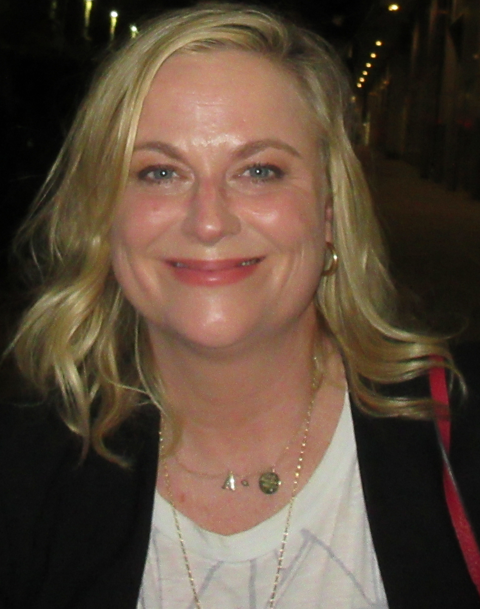 Portrait of Amy Poehler in 2019