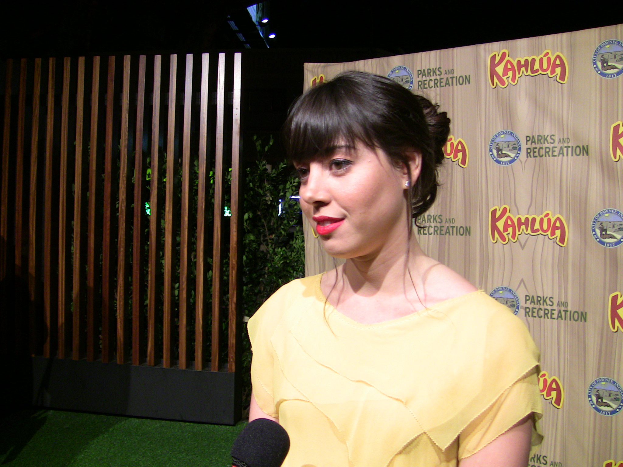 Portrait of Aubrey Plaza at the Parks and Recreation premiere in 2009