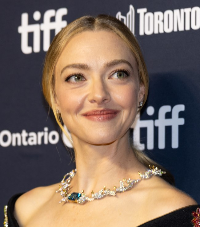 Portrait of Amanda Seyfried